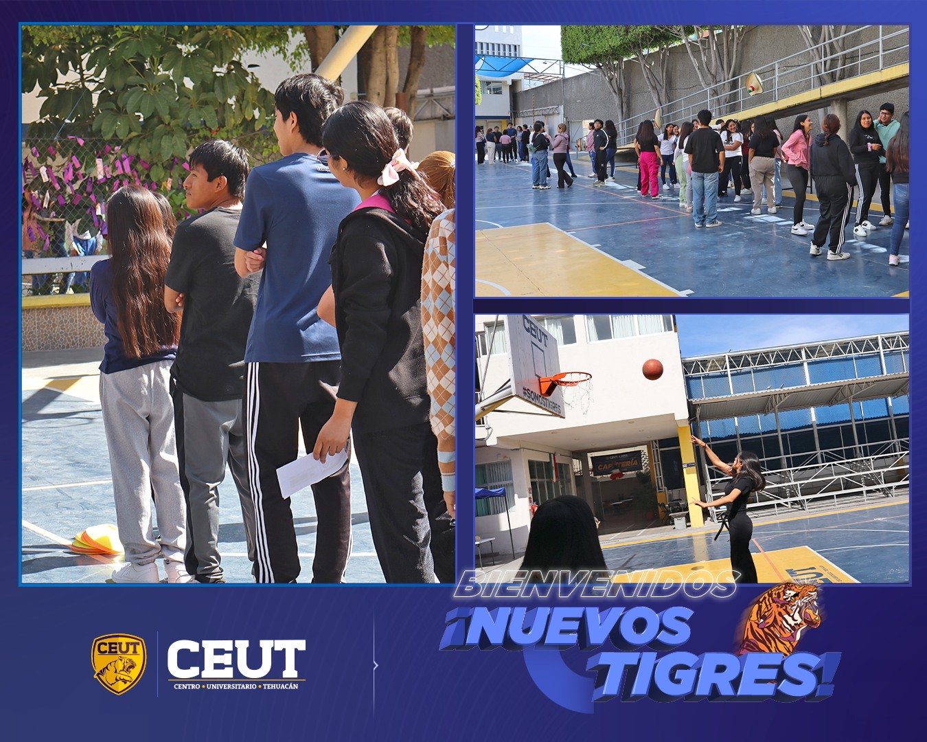 Bienvenido Nuevos Tigres